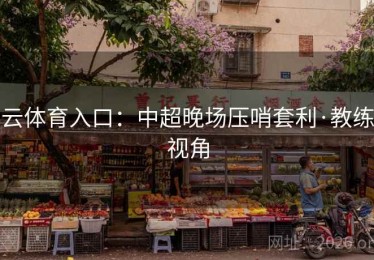 云体育入口：中超晚场压哨套利·教练视角