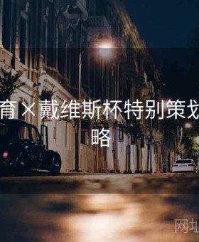 6686体育×戴维斯杯特别策划：全攻略