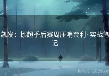 凯发：挪超季后赛周压哨套利·实战笔记