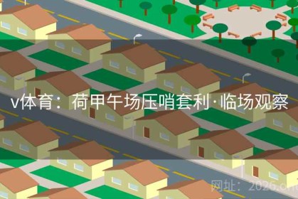 v体育：荷甲午场压哨套利·临场观察