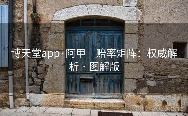 博天堂app·阿甲｜赔率矩阵：权威解析 · 图解版